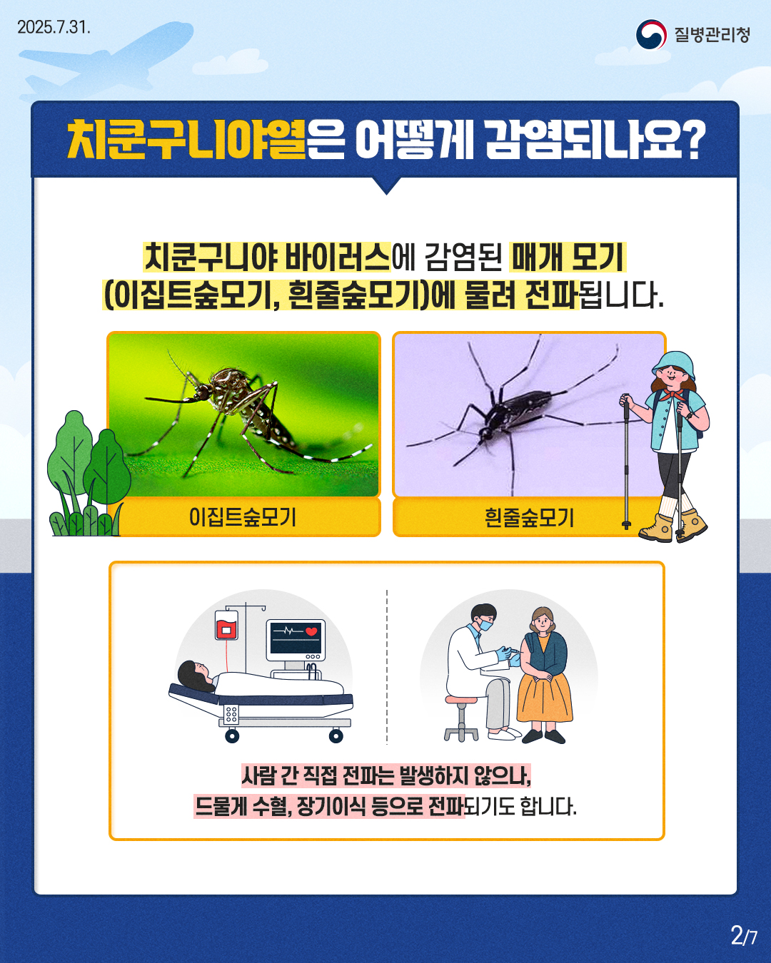 카드 뉴스 이미지