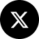 x icon